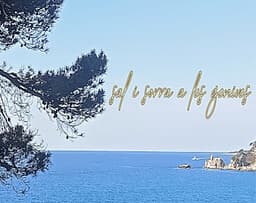 Sal i sorra a les genives cover