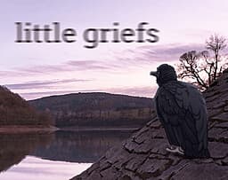 little griefs cover