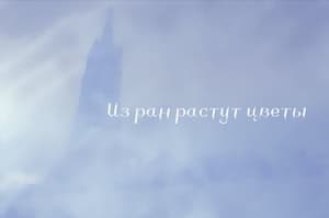 Iz ran rastut cvety cover