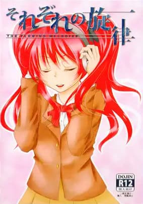 the flowing melodies. ~Sorezore no Senritsu~ cover