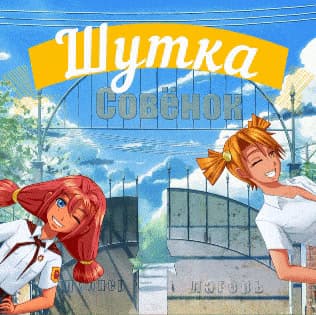 Shutka cover