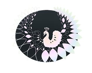 Stolen Thunders and Feathers cover