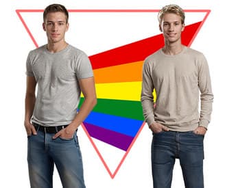 The Perky Prism cover