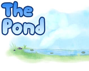 The Pond cover