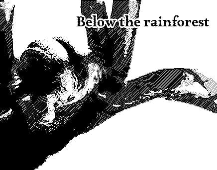 Below the Rainforest cover