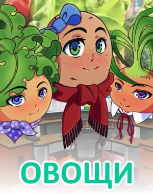 Ovoschi cover