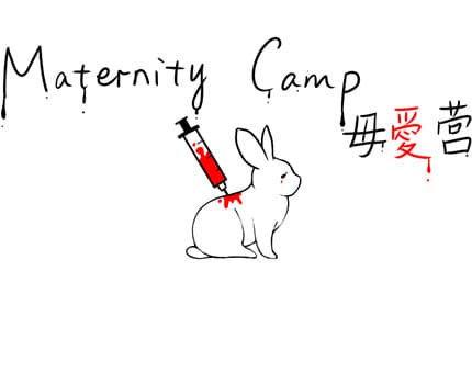 Maternity Camp cover
