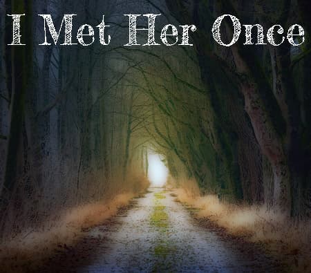 I Met Her Once cover
