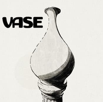 VASE cover