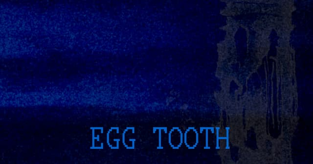 EGG TOOTH cover