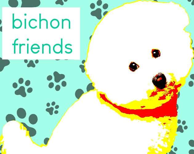 bichon friends cover