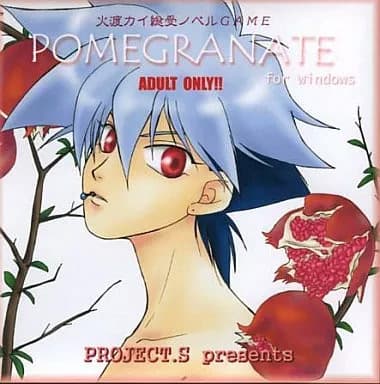 POMEGRANATE cover