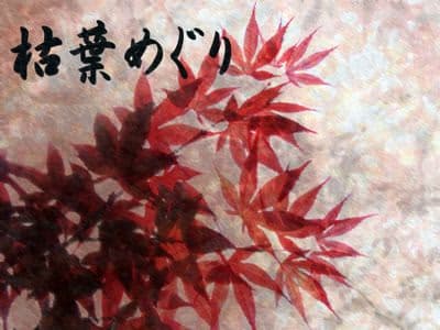 Kareha Meguri cover