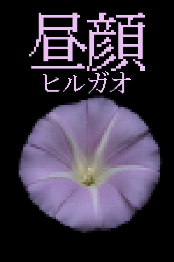 Hirugao cover