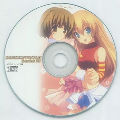 The secret of the idol DS cover
