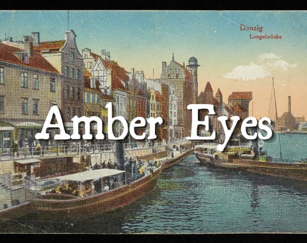 Amber Eyes cover