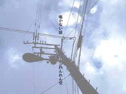 Nakanai Neko cover