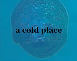 A Cold Place cover