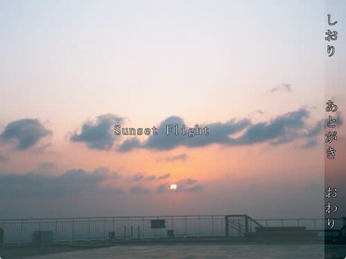 Sunset Flight cover