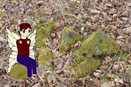 Fairy cover