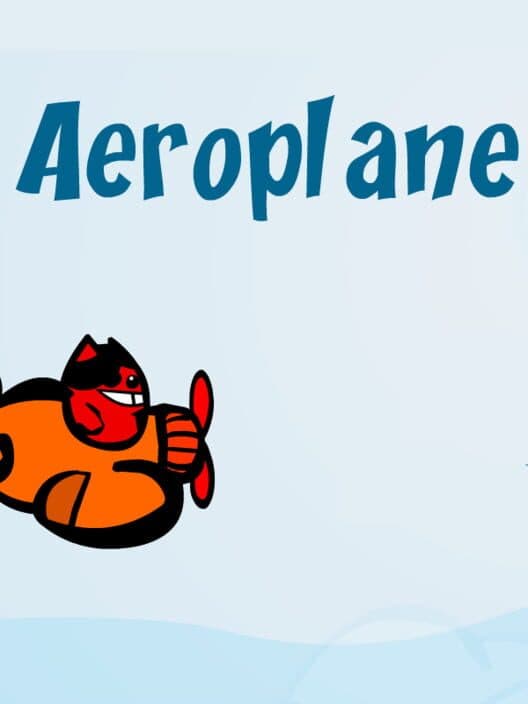 Aeroplane cover