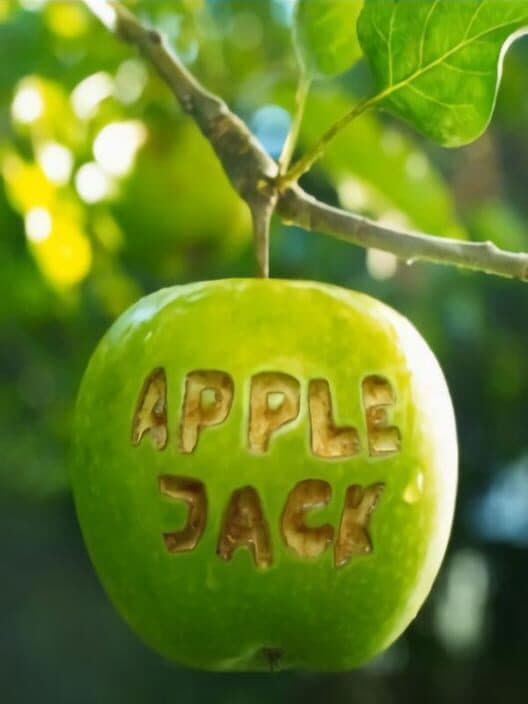 Apple Jack cover