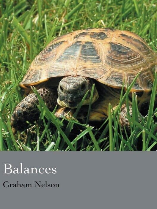 Balances cover