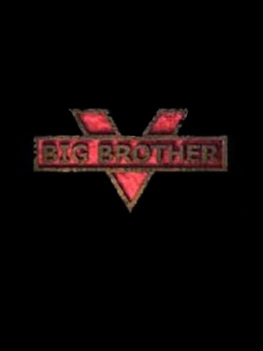 Big Brother cover