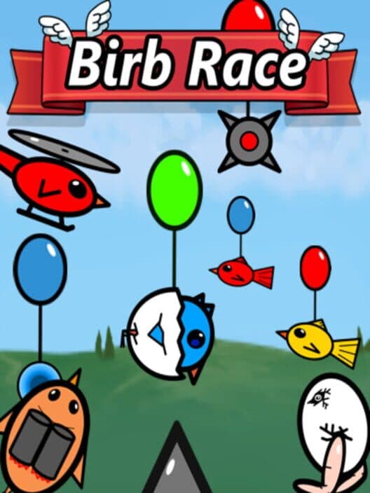 Birb Race cover