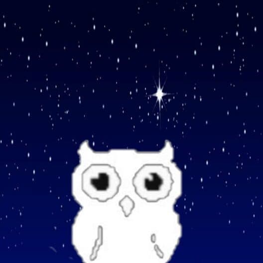 Block Owl cover