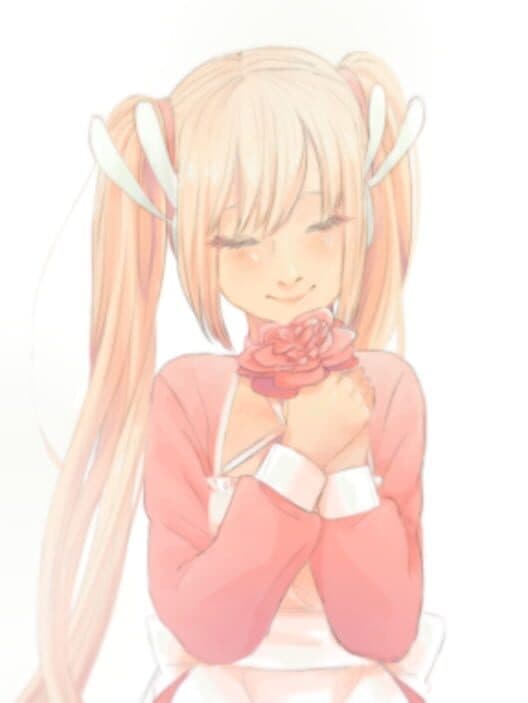 Camelia cover