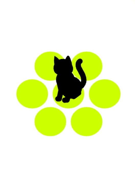 Chat Noir cover