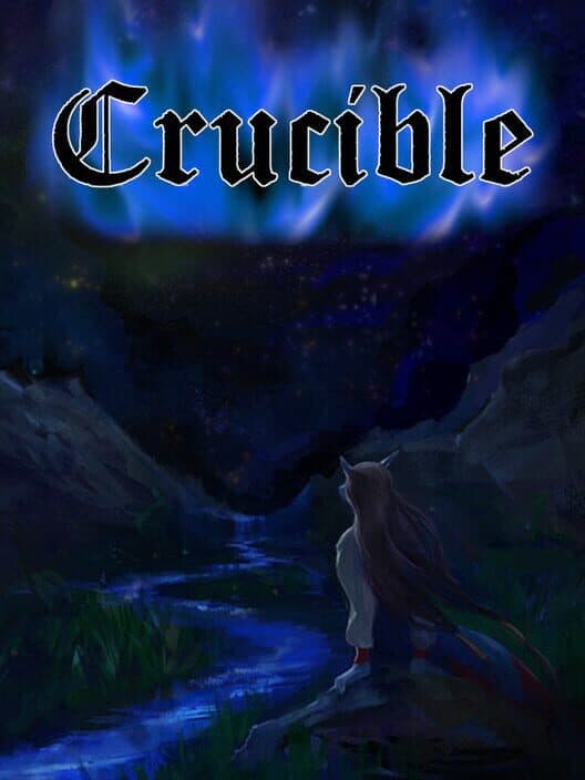 Crucible cover