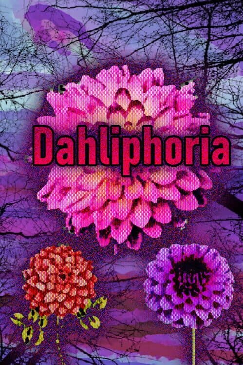 Dahliphoria cover
