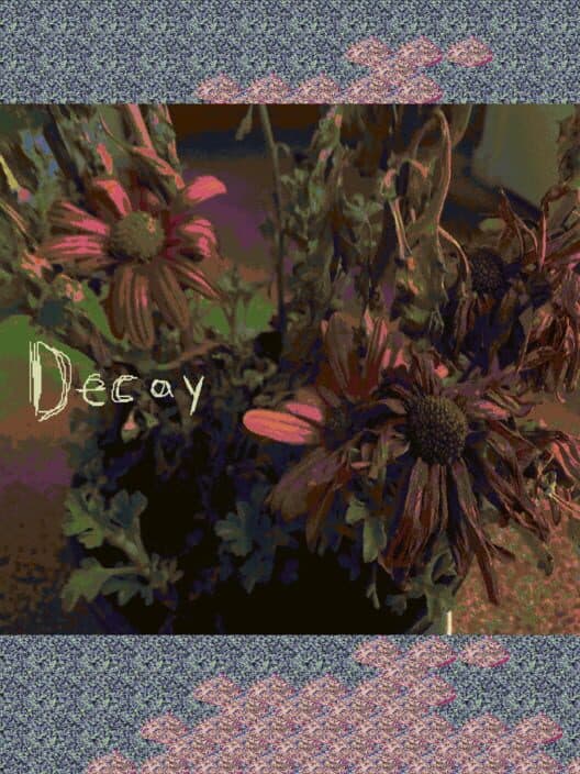 Decay cover