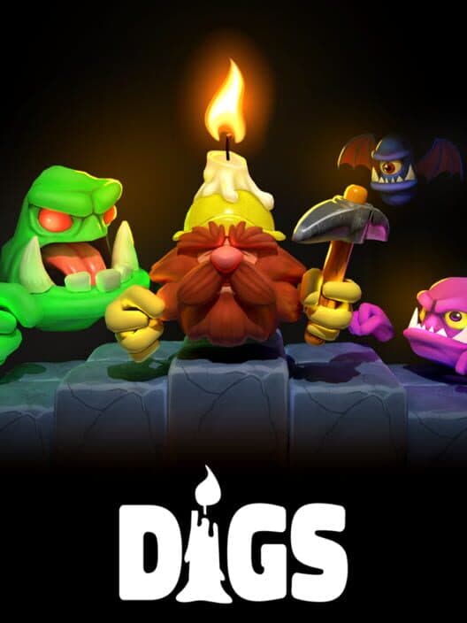 Digs cover