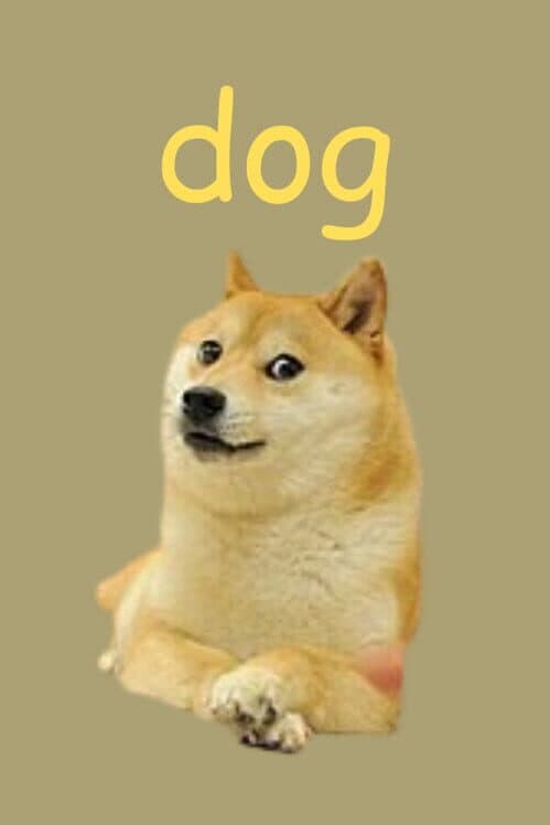 Dog cover