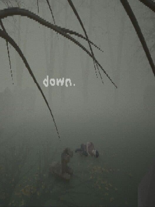 Down. cover