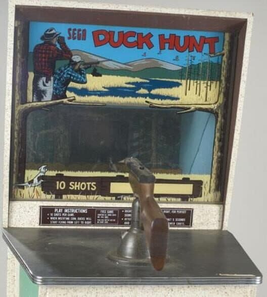 Duck Hunt cover