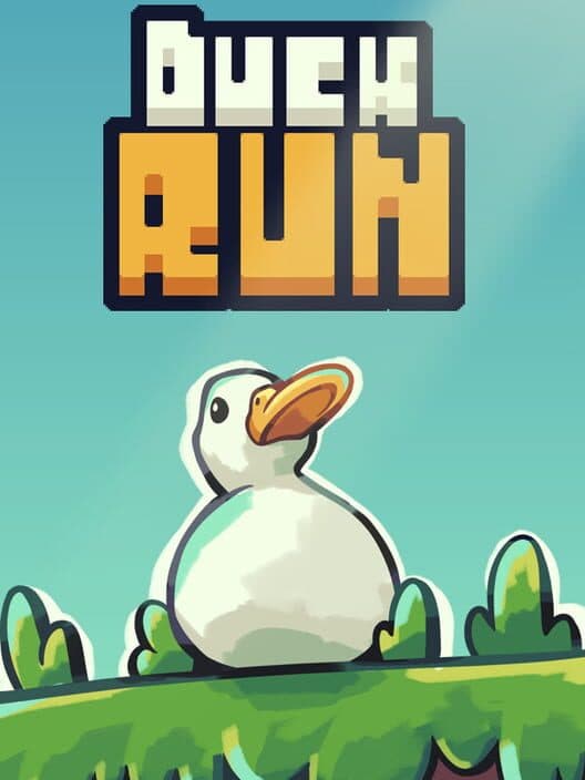 Duck Run cover