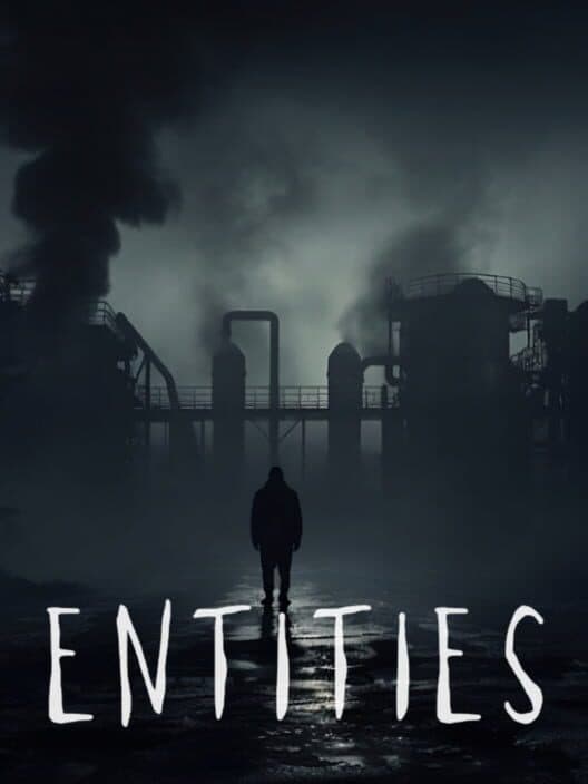 Entities cover