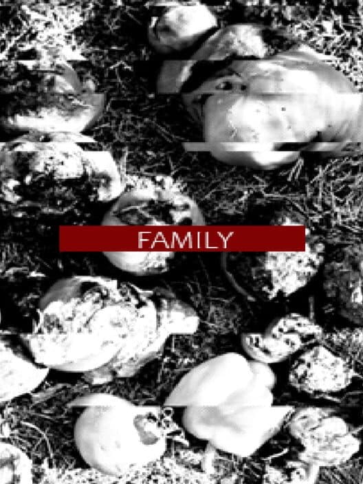 Family cover