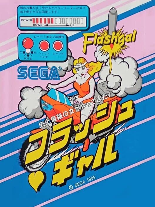 FlashGal cover