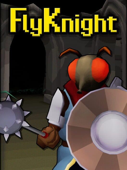 FlyKnight cover