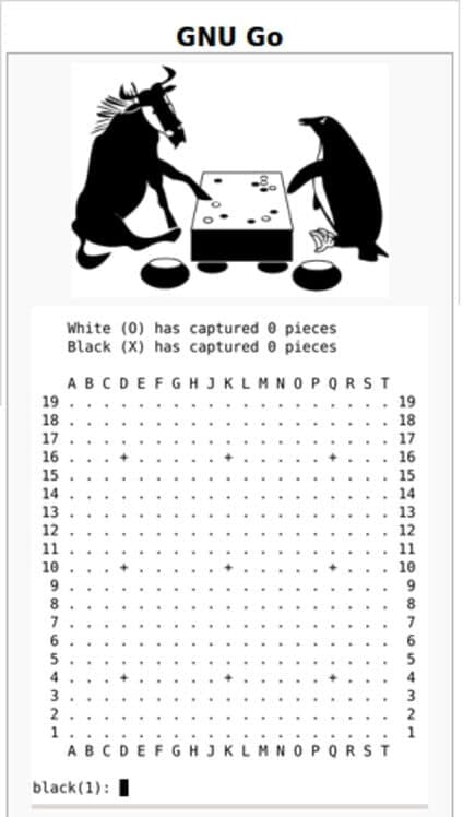 GNU Go cover