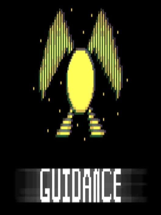 Guidance cover