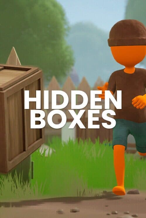 Hidden Boxes cover