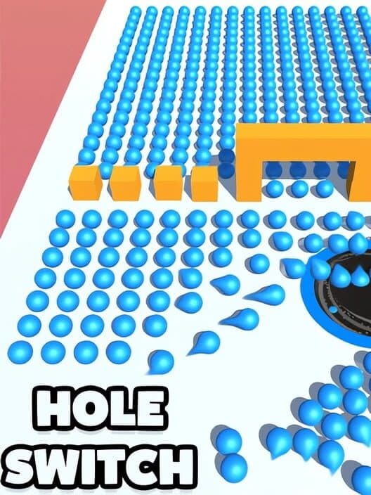 Hole Switch cover