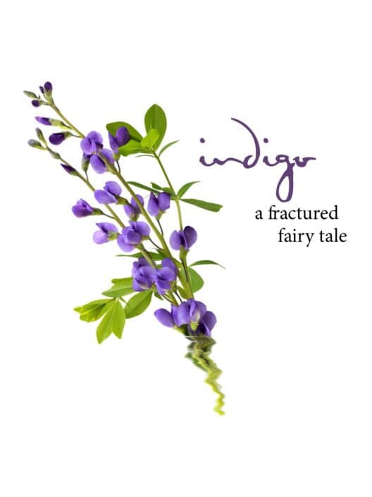 Indigo cover