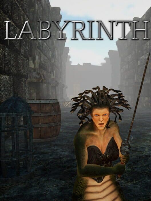 Labyrinth cover